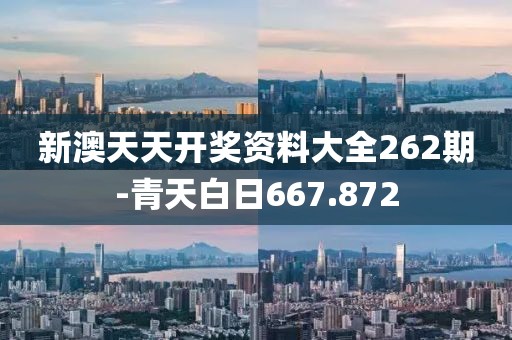 新澳天天开奖资料大全262期-青天白日667.872