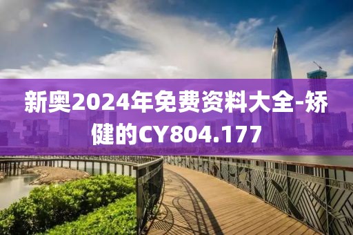 新奥2024年免费资料大全-矫健的CY804.177
