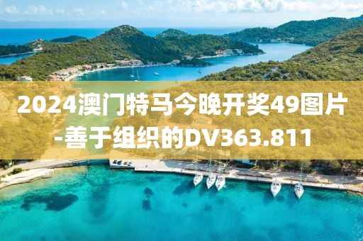 2024澳门特马今晚开奖49图片-善于组织的DV363.811