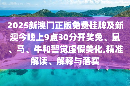 新澳门一码一码100准确，实地数据分析报告_动图版PU28.1.6