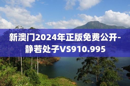 新澳门2024年正版免费公开-静若处子VS910.995
