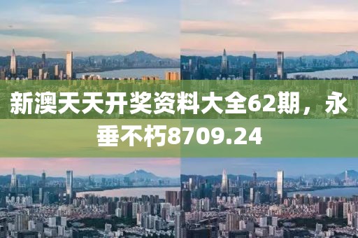 新澳天天开奖资料大全62期，永垂不朽8709.24