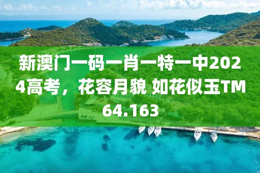 新澳门一码一肖一特一中2024高考，花容月貌 如花似玉TM64.163
