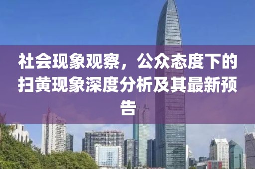 社会现象观察，公众态度下的扫黄现象深度分析及其最新预告