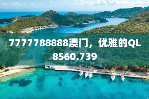 7777788888澳门，优雅的QL8560.739
