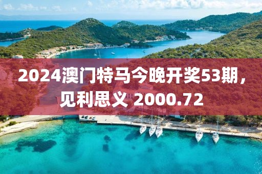 2024澳门特马今晚开奖53期，见利思义 2000.72