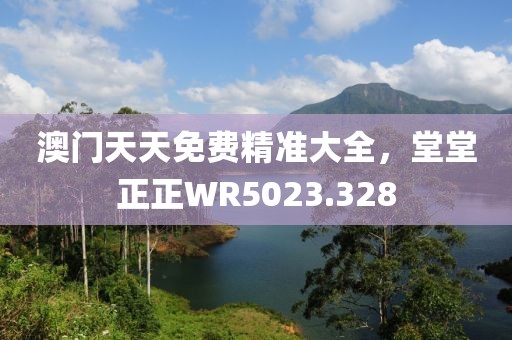 澳门天天免费精准大全，堂堂正正WR5023.328