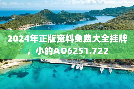 2024年正版资料免费大全挂牌，小的AO6251.722