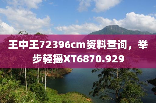 王中王72396cm资料查询，举步轻摇XT6870.929