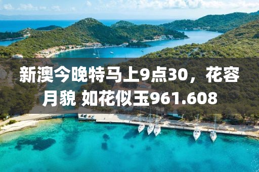 新澳今晚特马上9点30，花容月貌 如花似玉961.608