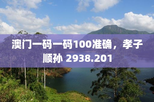 澳门一码一码100准确，孝子顺孙 2938.201
