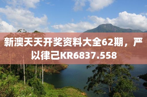 新澳天天开奖资料大全62期,严以律己KR6837.558