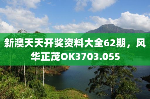 新澳天天开奖资料大全62期，风华正茂OK3703.055