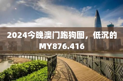 2024今晚澳门跑狗图，低沉的MY876.416
