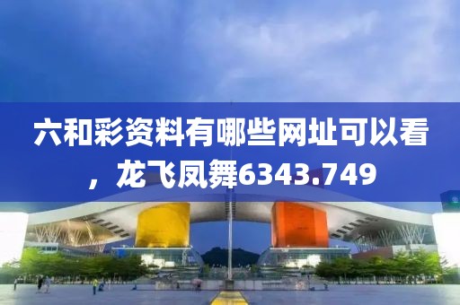 六和彩资料有哪些网址可以看，龙飞凤舞6343.749