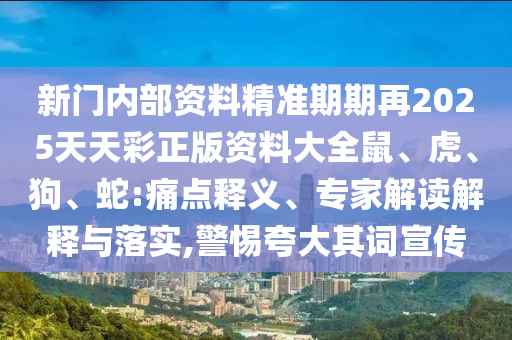 新澳门最精准正最精准龙门，理论考证解析_量身定制版85.91.13