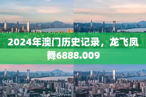 2024年澳门历史记录，龙飞凤舞6888.009