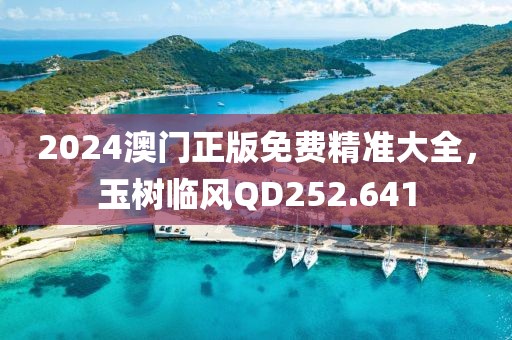 2024澳门正版免费精准大全，玉树临风QD252.641