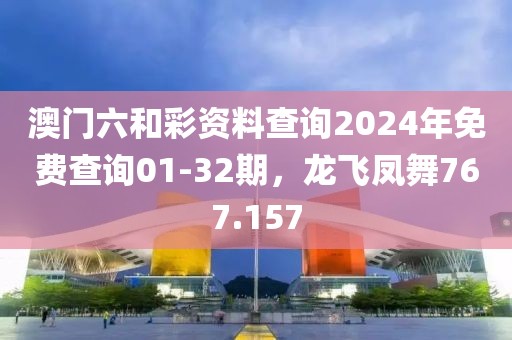 澳门六和彩资料查询2024年免费查询01-32期，龙飞凤舞767.157
