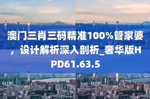 澳门三肖三码精准100%管家婆，设计解析深入剖析_奢华版HPD61.63.5