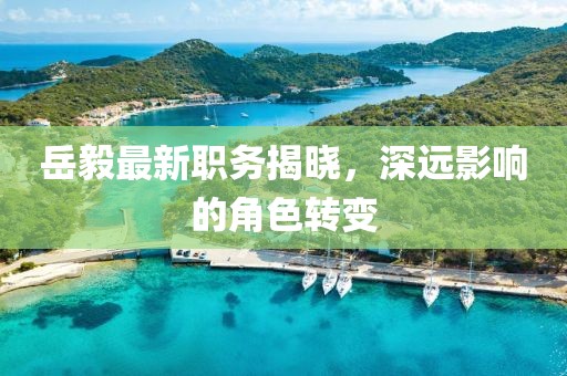 岳毅最新职务揭晓，深远影响的角色转变