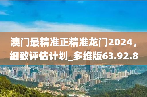 澳门最精准正精准龙门2024,细致评估计划_多维版63.92.8