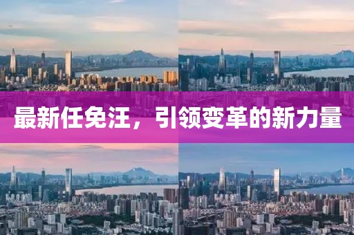 最新任免汪，引领变革的新力量