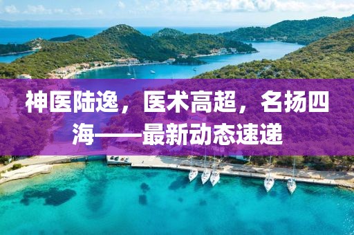 神医陆逸，医术高超，名扬四海——最新动态速递