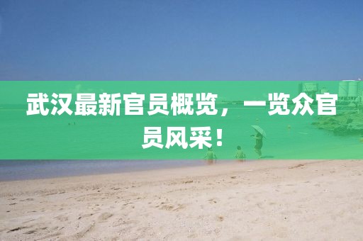 武汉最新官员概览，一览众官员风采！