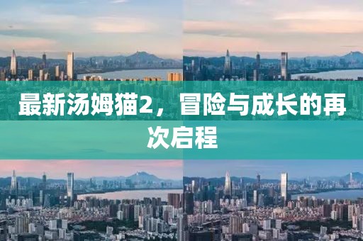 最新汤姆猫2，冒险与成长的再次启程