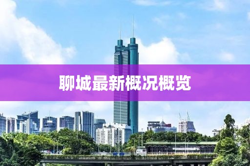 聊城最新概况概览