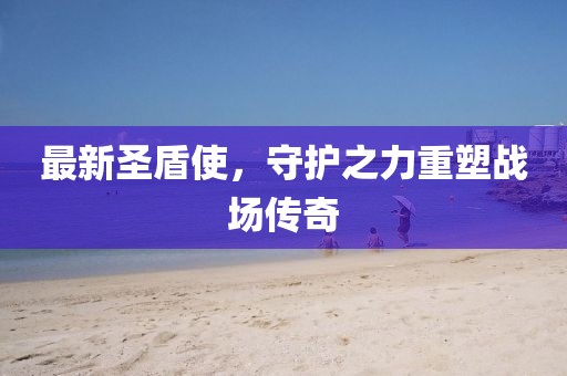 最新圣盾使，守护之力重塑战场传奇