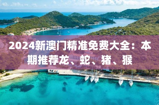 2024新澳门精准免费大全：本期推荐龙、蛇、猪、猴