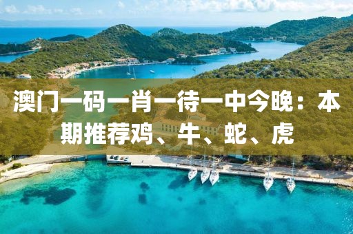 澳门一码一肖一待一中今晚：本期推荐鸡、牛、蛇、虎