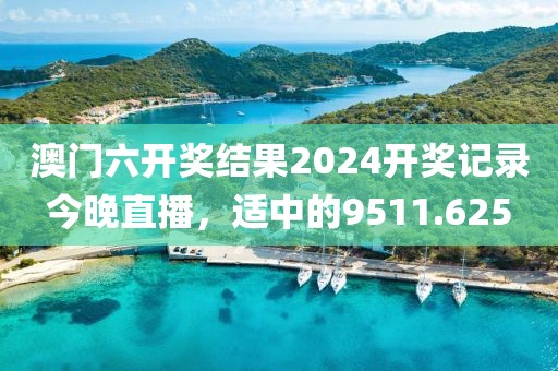 澳门六开奖结果2024开奖记录今晚直播，适中的9511.625