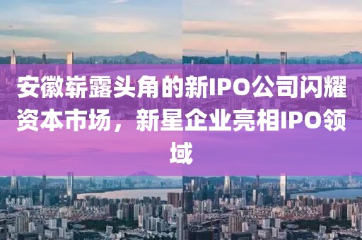 安徽崭露头角的新IPO公司闪耀资本市场，新星企业亮相IPO领域