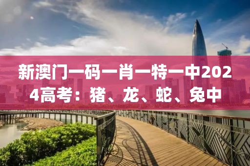 新澳门一码一肖一特一中2024高考：猪、龙、蛇、兔中