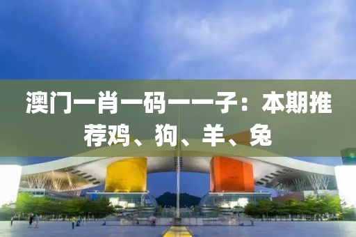 澳门一肖一码一一子：本期推荐鸡、狗、羊、兔
