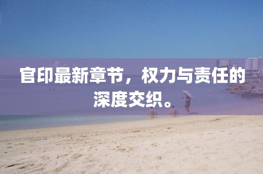 官印最新章节，权力与责任的深度交织。