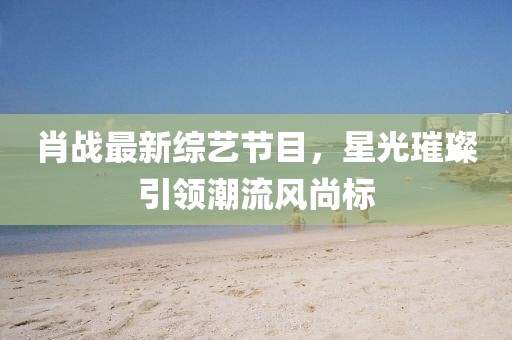 肖战最新综艺节目，星光璀璨引领潮流风尚标