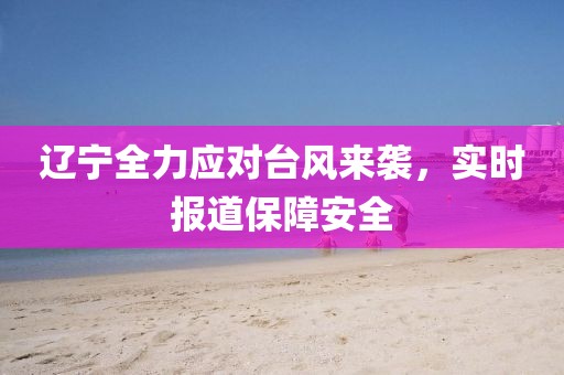 辽宁全力应对台风来袭，实时报道保障安全