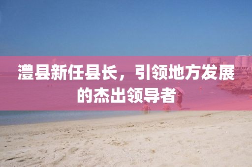 澧县新任县长，引领地方发展的杰出领导者
