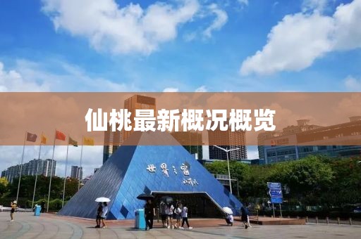 仙桃最新概况概览