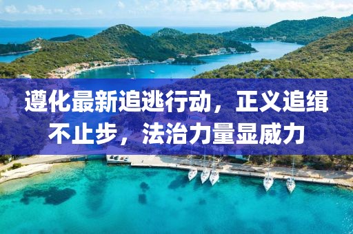 遵化最新追逃行动，正义追缉不止步，法治力量显威力