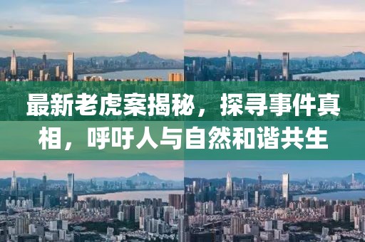 最新老虎案揭秘，探寻事件真相，呼吁人与自然和谐共生