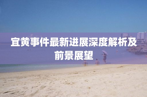 宜黄事件最新进展深度解析及前景展望