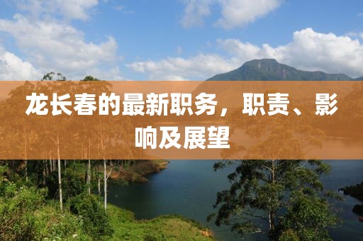 龙长春的最新职务，职责、影响及展望