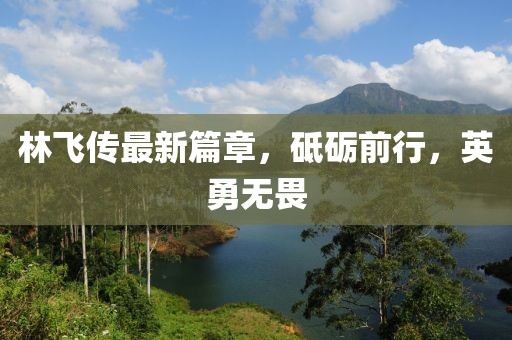 林飞传最新篇章，砥砺前行，英勇无畏