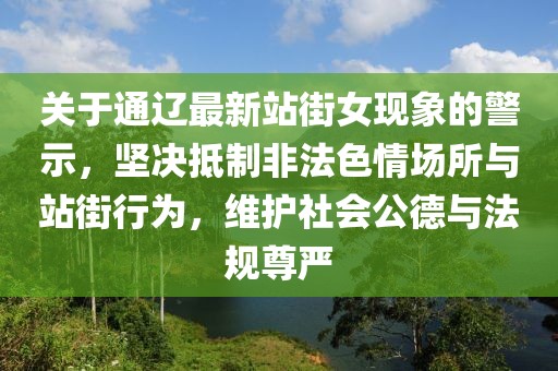 关于通辽最新站街女现象的警示，坚决抵制非法色情场所与站街行为，维护社会公德与法规尊严