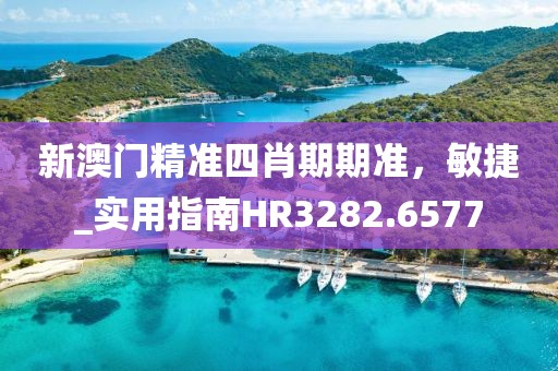 新澳门精准四肖期期准，敏捷_实用指南HR3282.6577